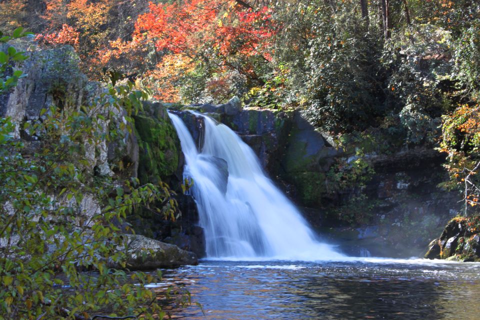 Great Smoky Mountains NP & Cades Cove Self-Guided Tour - What to Bring