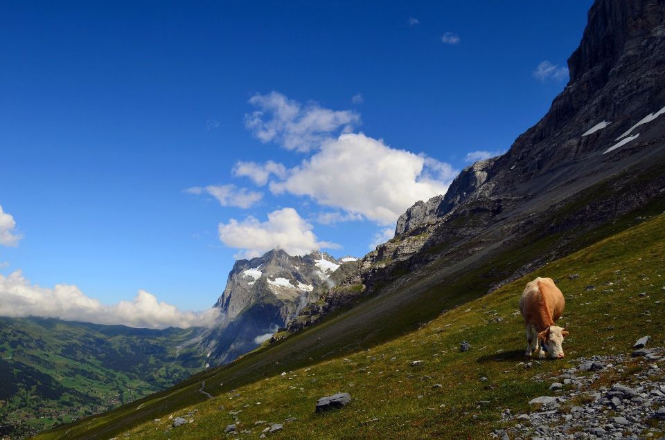 Grindelwald: Guided 7 Hour Hike - Guided by Swiss Expert