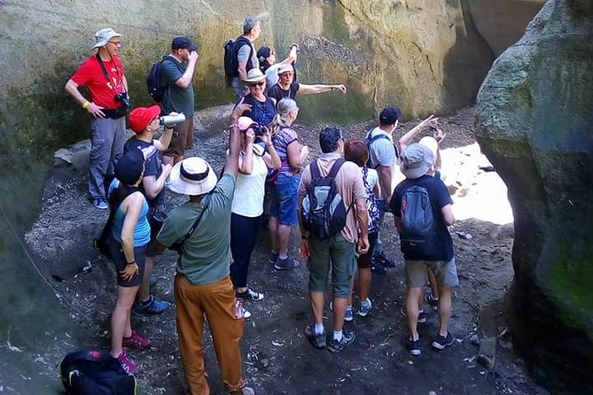 Guided Day Tour Safari of Parks Lake Naivasha and Hells Gate - Hiking Adventure