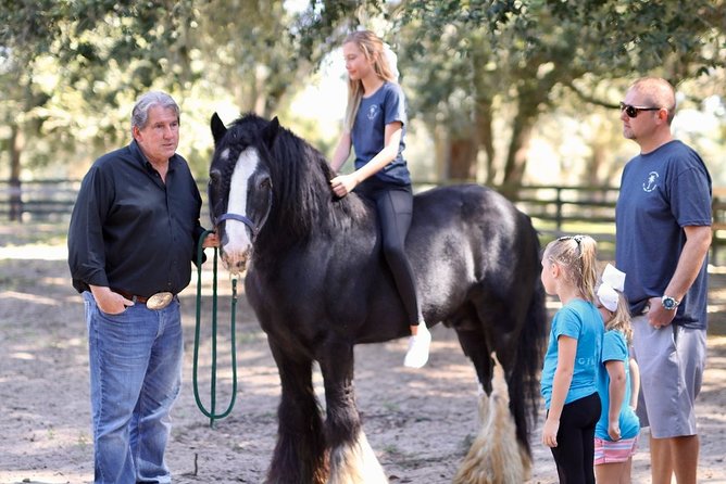 Gypsy Gold Horse Farm Tour - Family-Friendly Environment