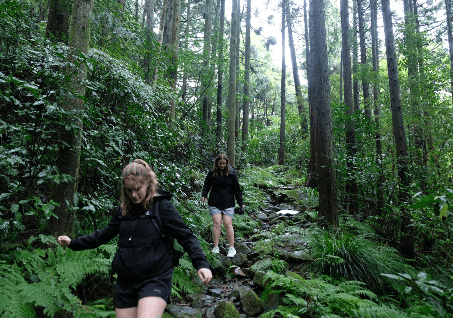 Hakone Hachiri Hiking Tour Review - Historical Significance