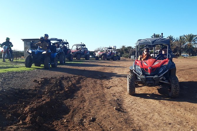 Half-Day Buggy Safari to Akamas Peninsula With Lunch - Discovering the Akamas Peninsula