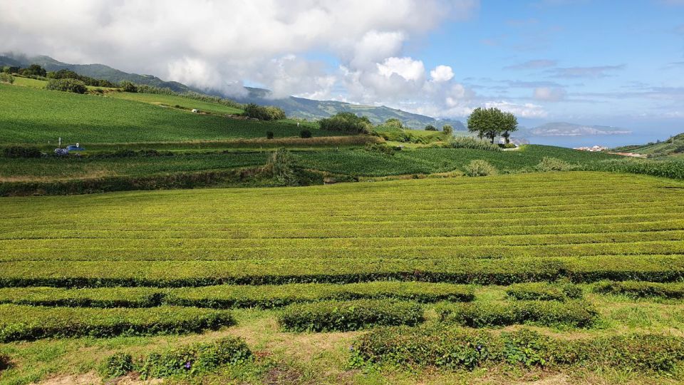 Half Day Furnas Tour With Volcano Activity - Tour Itinerary