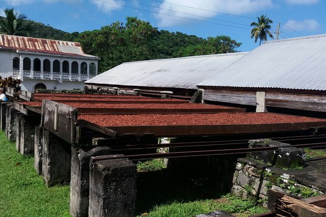 Half-Day Grenada Island Small-Group Sightseeing Tour - Accessibility and Participation