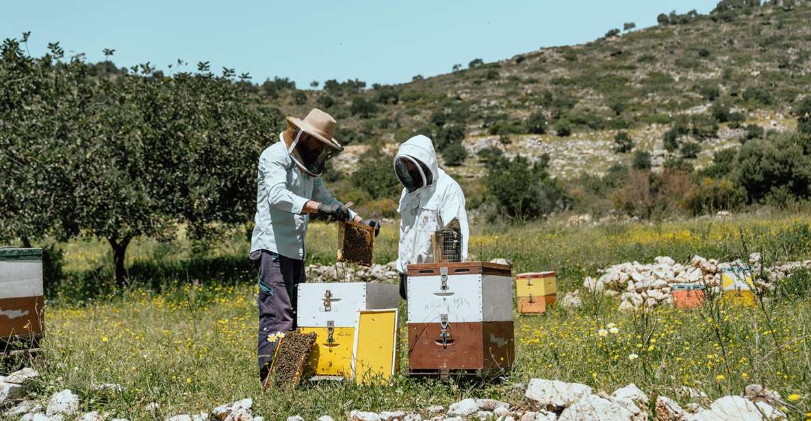 Heraklion: True Crete Melidoni Cave, Secrets of Honey, Olive - Important Information and Recommendations