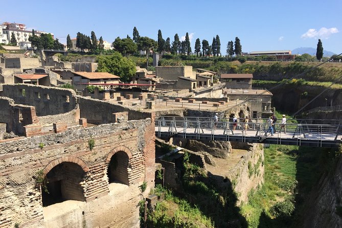 Herculaneum Private Walking Guided Tour 2 Hours - Booking and Cancellation