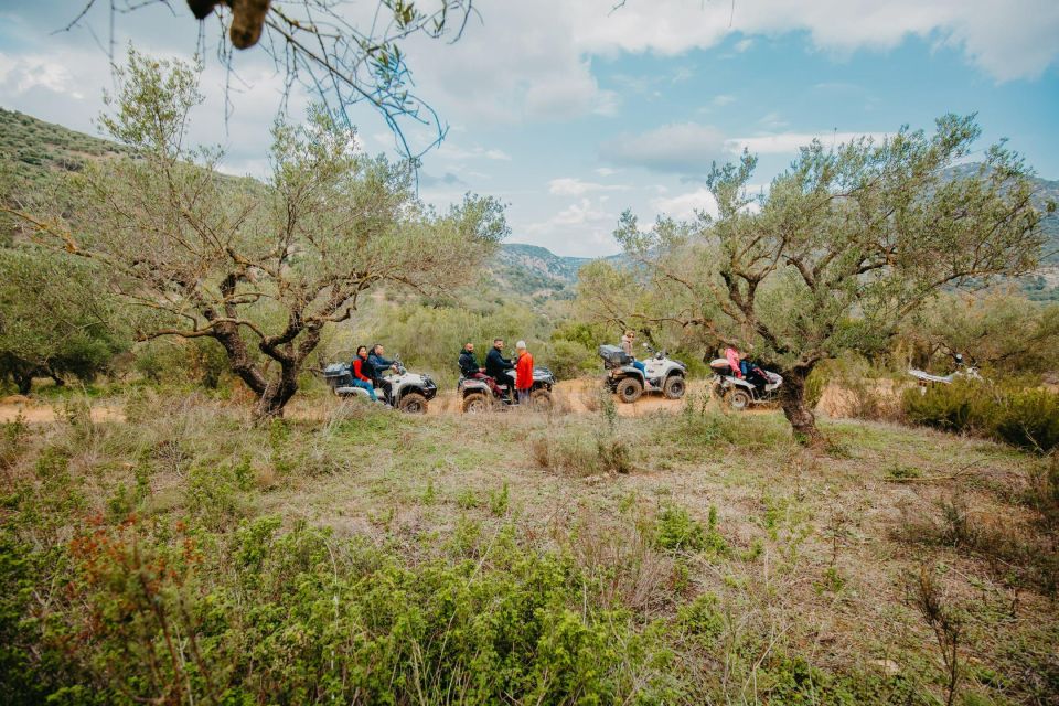 Hersonissos: ATV Quad Bike Safari in the Mountains of Crete - Quad Bike Specifications