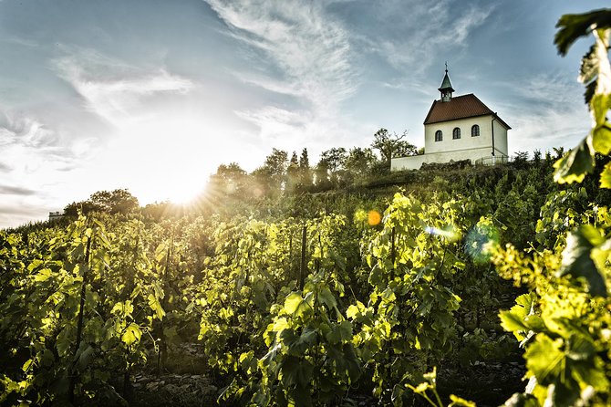 Hidden Vineyards and Private Winery Tour in Prague - Guided Tasting of Regional Wines