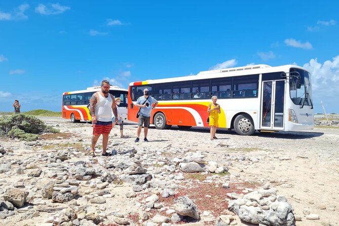 Highlights of Bonaire & Cultural Experience - Tour Accessibility and Restrictions