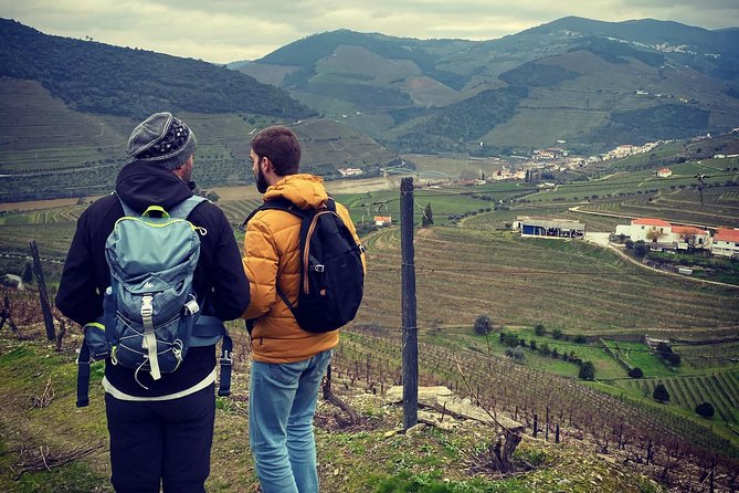 HIKE at DOURO VALLEY W/ Winery Visit and Tasting - Group Atmosphere