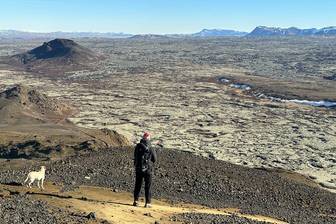 Hike to Mt Helgafell - What to Expect on the Trail