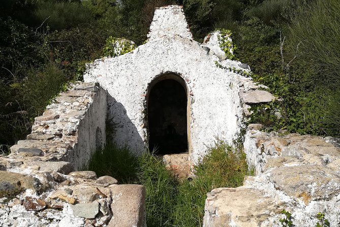 Hiking in Sintra-Cascais Natural Park - Tour Details and Inclusions