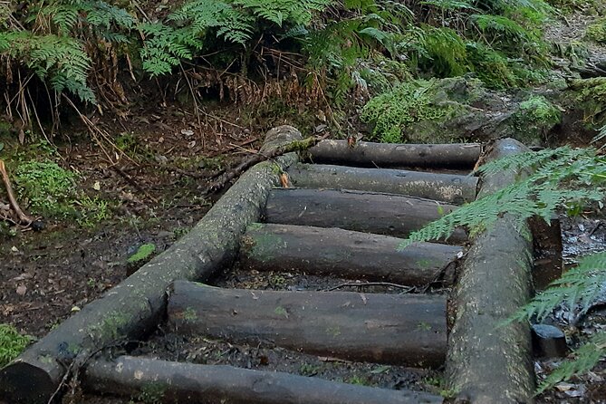 Hiking Trail Black Mysteries | Terceira Island - Booking Information