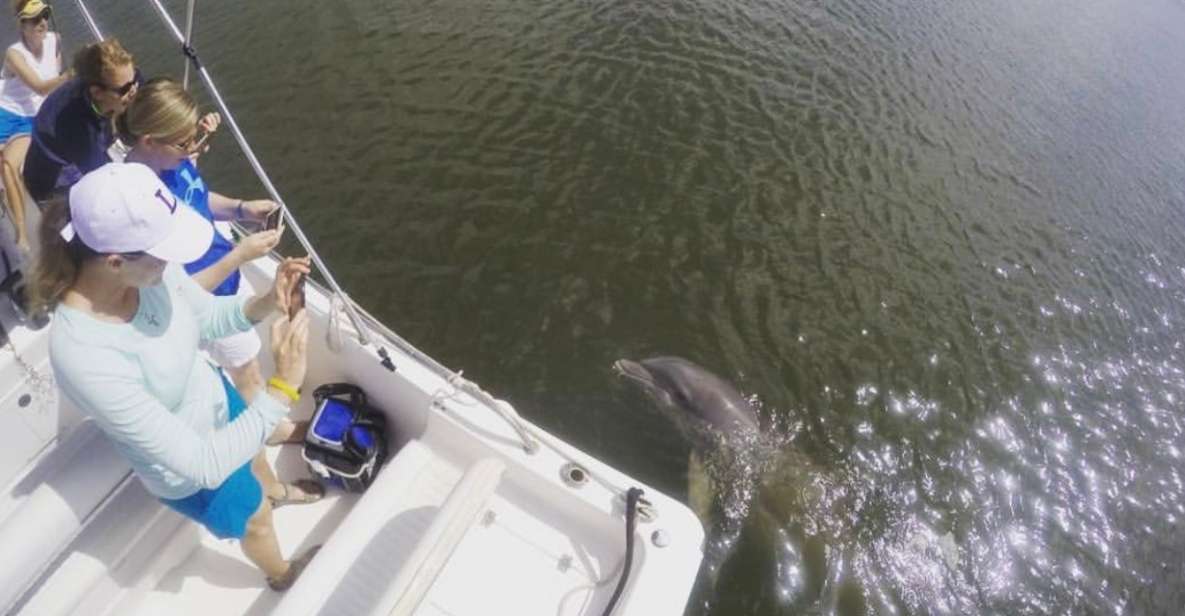 Hilton Head Island: Private Dolphin Watching Boat Tour - Tour Highlights and Inclusions