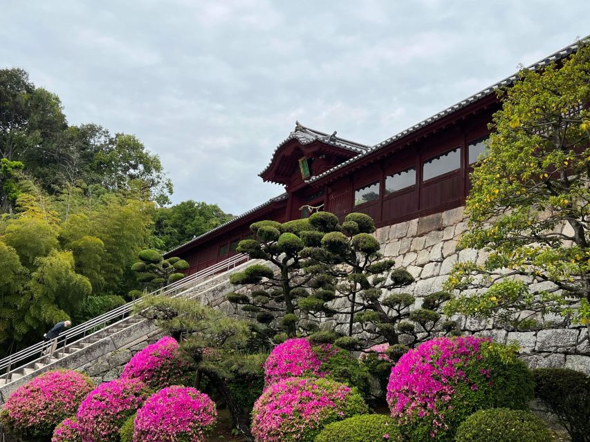 Hiroshima: Morning Hike Tour With Open-Air Tea Ceremony - Participant Requirements and Restrictions