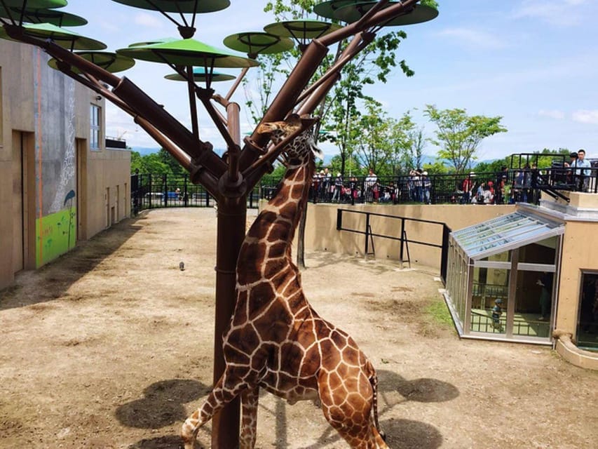 Hokkaido Asahiyama Zoo Tour Review - Meeting Point and Directions