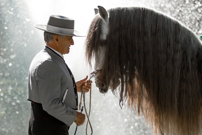 Horse and Flamenco Show in Malaga - Participant Requirements and Restrictions