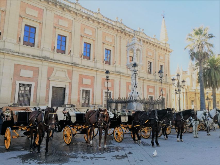 Horse-Drawn Carriage Ride Through Seville - Customer Feedback