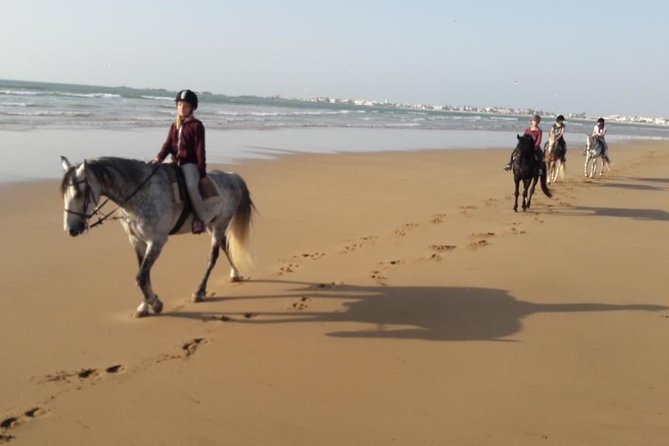 Horse Ride on the Beach in Essaouira - Safety Precautions