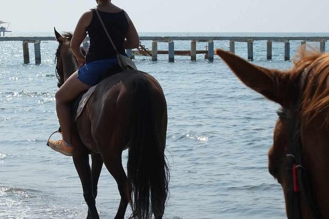 Horseback Riding in Bodrum - Testimonials and Reviews