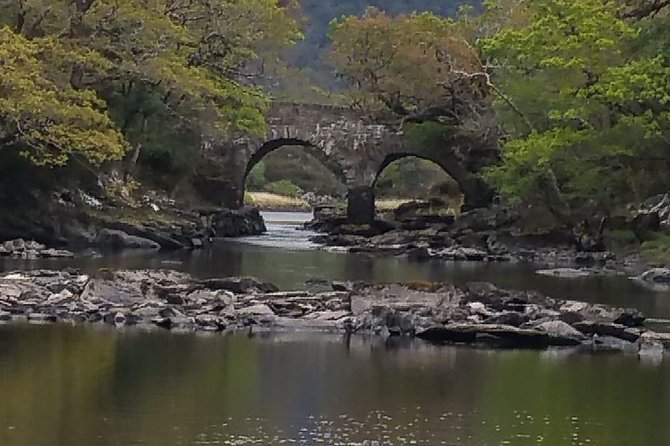 Innisfallen Island - Enjoy the Scenery & History of the Lakes of Killarney. - Discovering the Islands Heritage