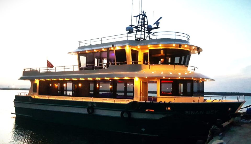 Istanbul: Bosphorus Sunset Cruise With Dinner - Illuminated Skyline