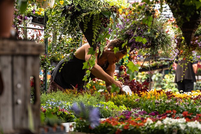 Jean-Talon Market & Little Italy Small Group Walking Tour - Jean-Talon Market Exploration