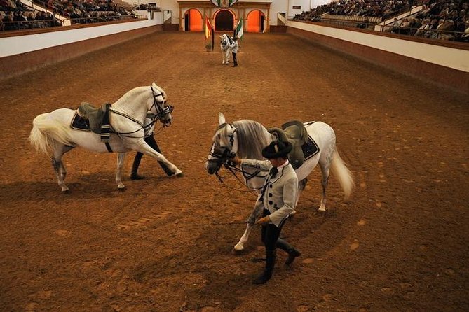 Jerez & Cadiz Winery With Tasting & Opt Horse Show From Seville - Camera Obscura at Tavira Tower