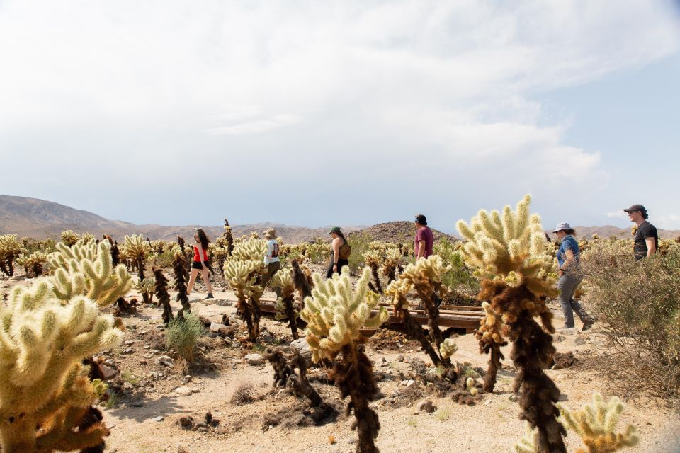 Joshua Tree National Park: Tour and Hike - Frequently Asked Questions