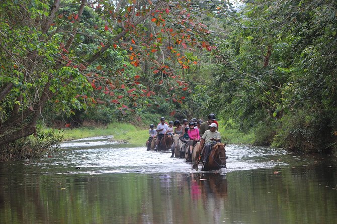 Jungle River Horseback Riding and Zipline Tour Punta Cana - Traditional Dominican Cuisine