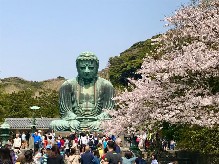 Kamakura & Yokohama: Highlight Tour in Spanish - Meeting Point and Directions