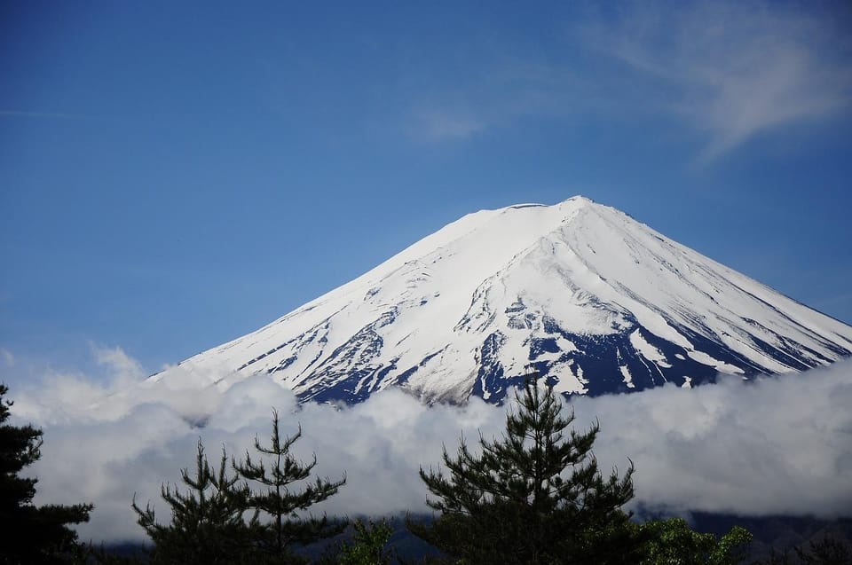 Kanto 10-Hour Chartered Day Trip｜Mt. Fuji Day Trip - Inclusions and Exclusions