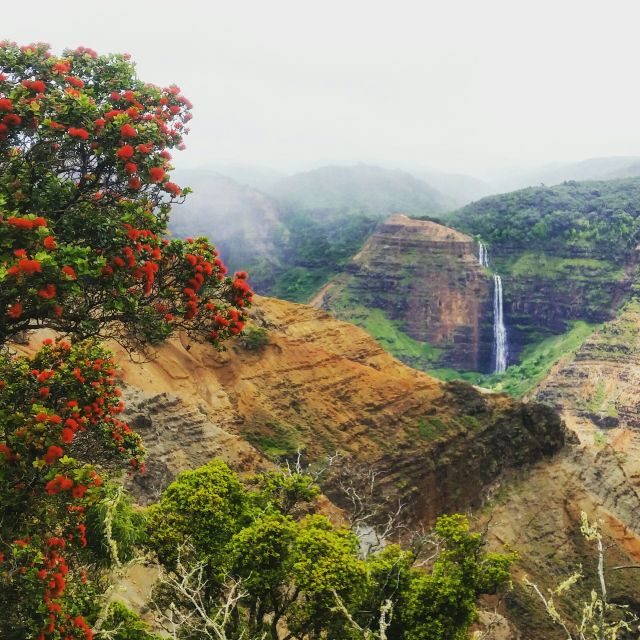 Kauai: Waimea Canyon & Kokeʻe State Park Private Tour - Short Hiking Trails