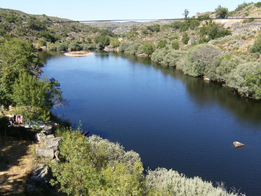 Kayak Tour on the Côa River - Highlights of the Kayak Adventure