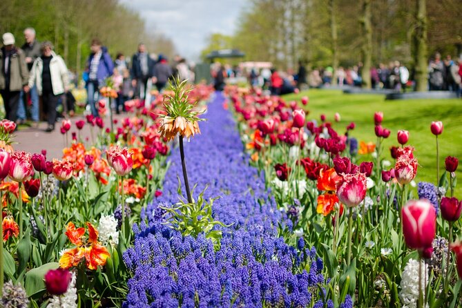 Keukenhof Entrance and Windmill Cruise From Amsterdam - Group Size and Transportation