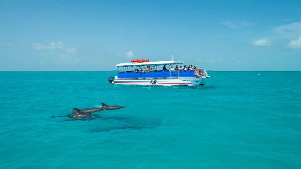 Key West: Dolphin Watching and Snorkeling Eco Cruise Tour - Suitability and Important Notes