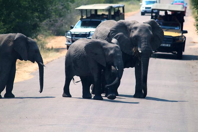 Kruger National Park. 3 Days Best Ever Safari From Cape Town - Pricing Information