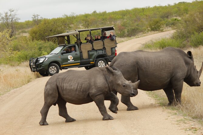 Kruger National Park Sunrise Morning Private Safari - Park Entrance and Conservation Fees