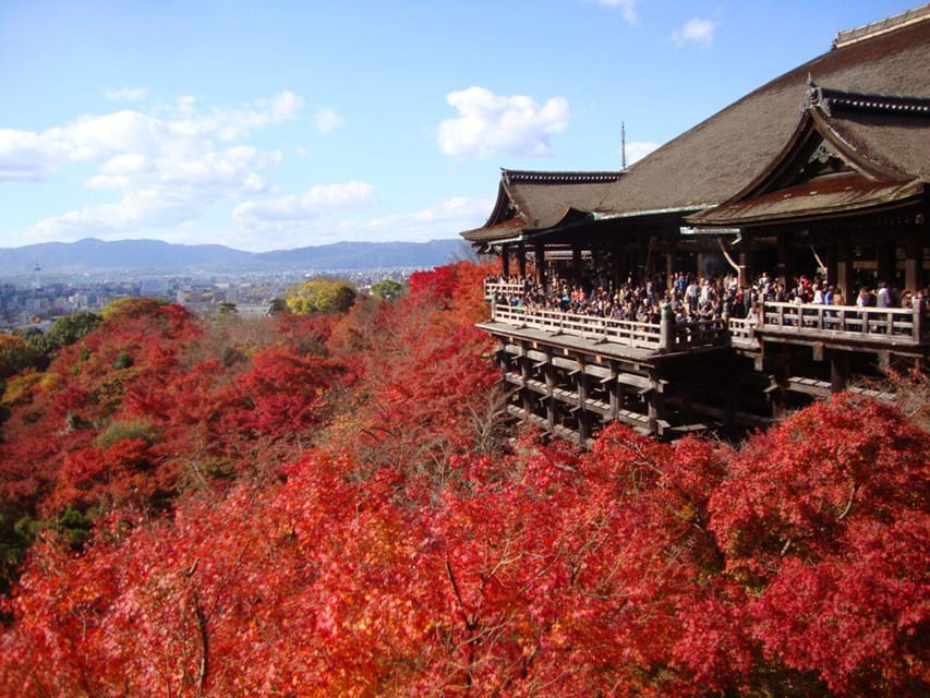 Kyoto Essential Spots Tour(Limited Time Discount!) - Kiyomizu-dera Temple