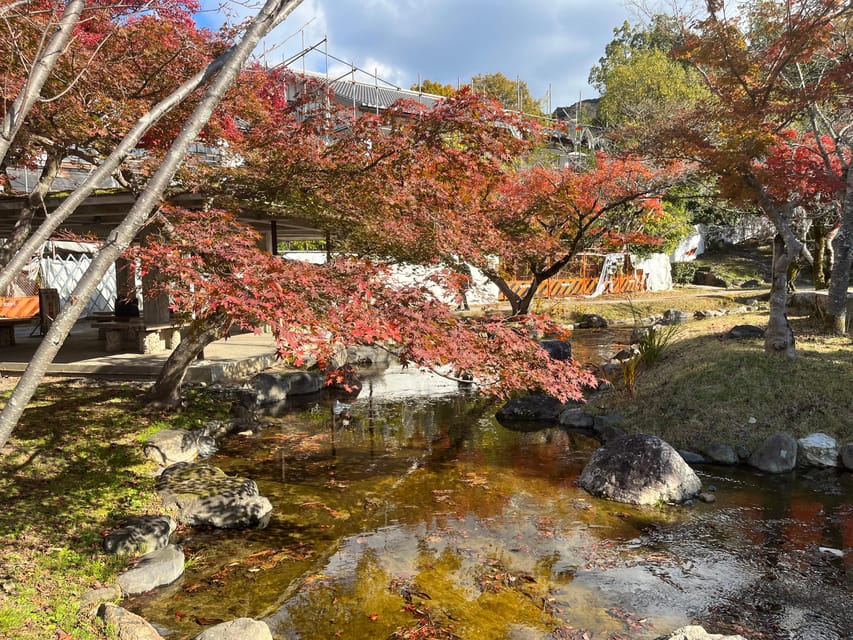 Kyoto: Half-Day Private Guided Tour to the Old Town of Gion - Group and Accessibility Information