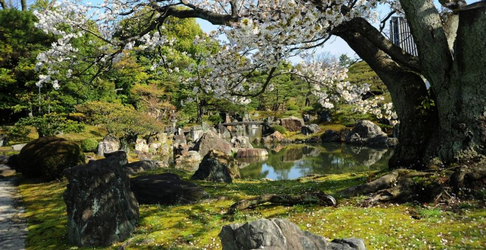 Kyoto: Nijo Castle and Ninomaru Palace Ticket - Learning About Edo Period