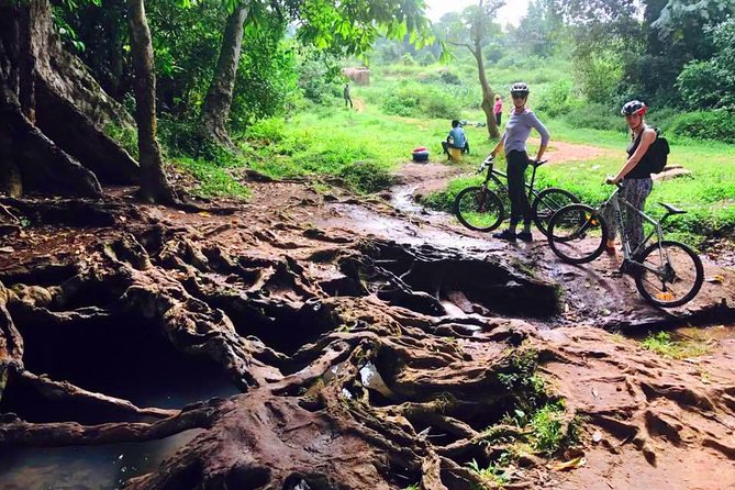 Lake Victoria Island Cycling Tour From Kampala - Cancellation Policy