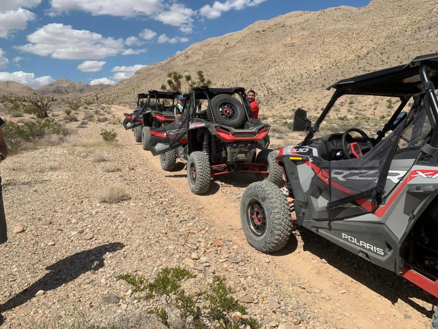 Las Vegas Mojave Desert Adventure - Guided Tour - Inclusions