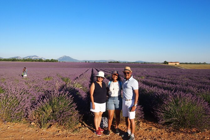 Lavender Fields Tour in Valensole From Marseille - Tour Accessibility and Suitability