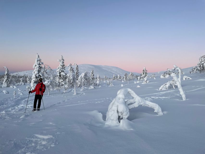 Levi: Pallas-Yllästunturi National Park Snowshoeing Tour - Tranquility of the Park