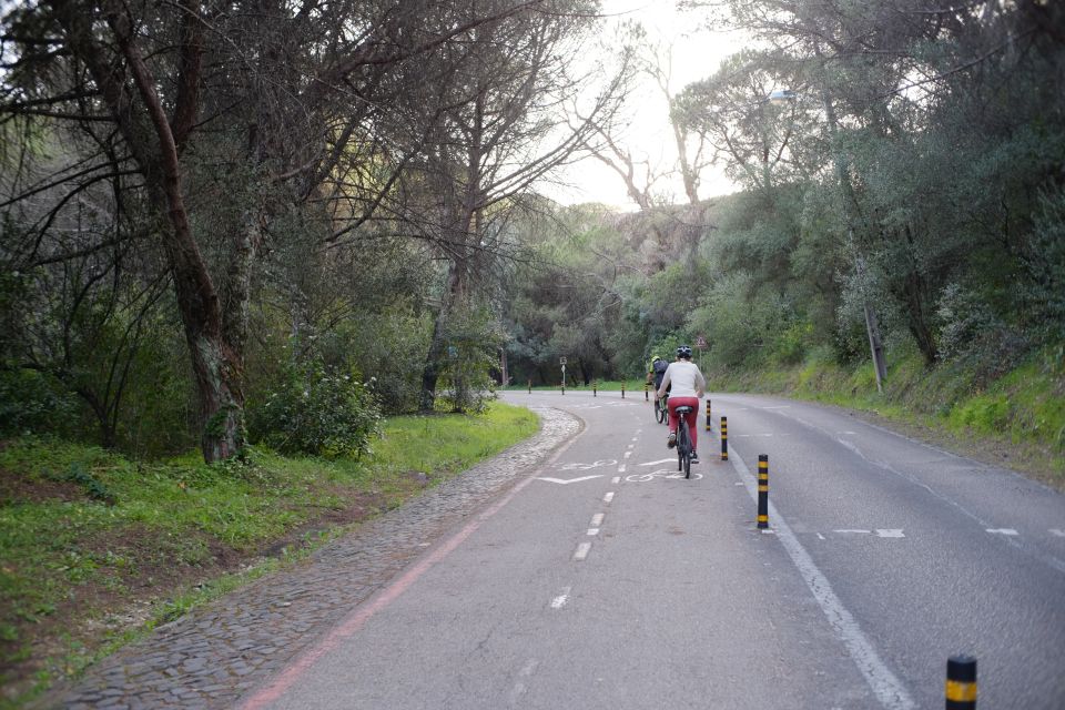 Lisbon: Guided Tour of Monsanto Park by Vintage Bike - Vintage Bikes