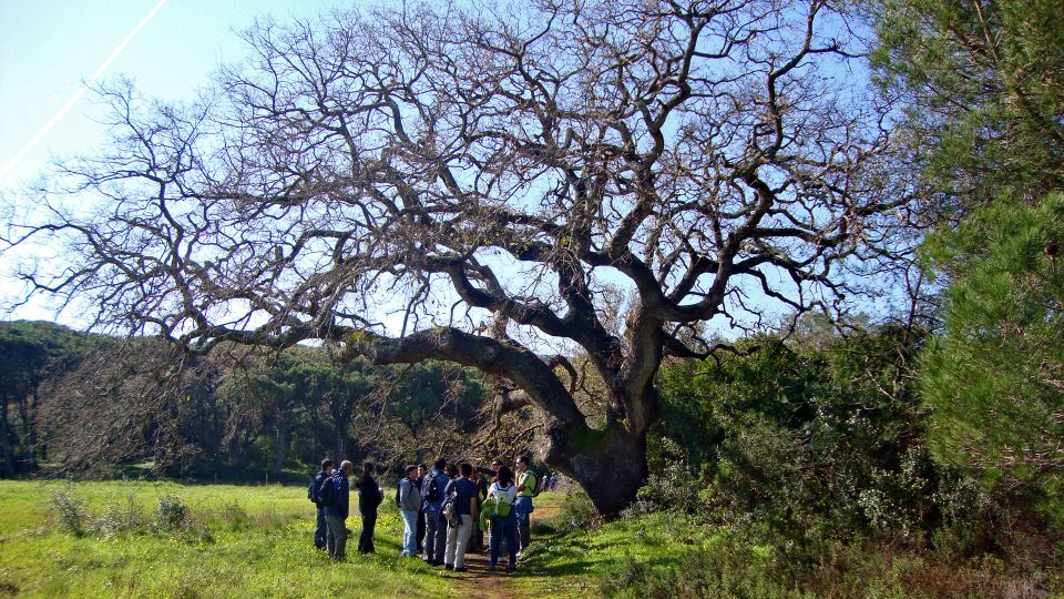 Lisbon: Hiking in Arrábida Natural Park - Meeting Point and Requirements