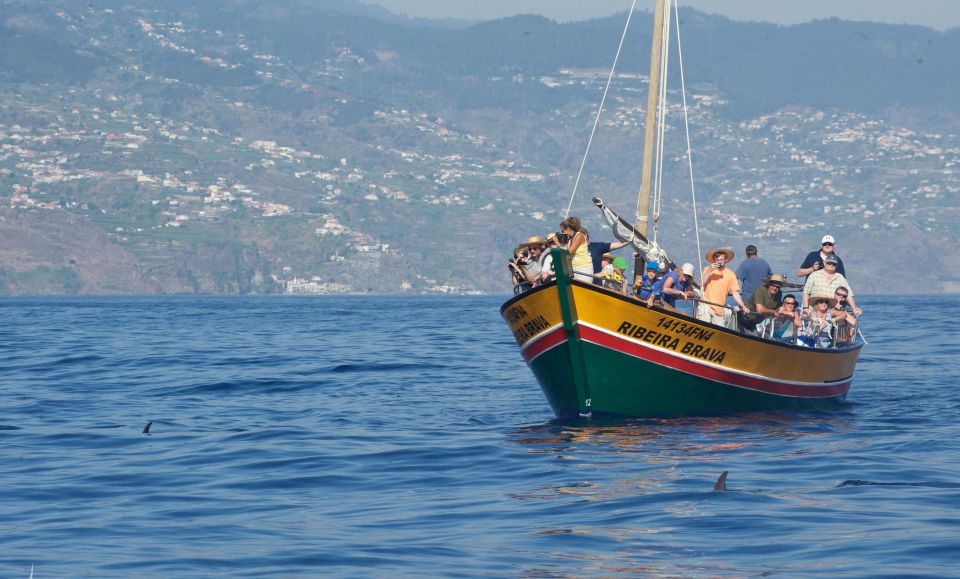 Madeira: Whale Watching Excursion in a Traditional Vessel - Scenic Coastline