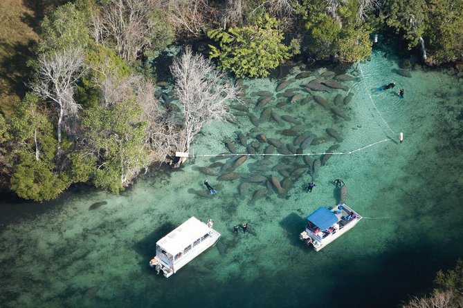 Manatee Snorkel Tour With In-Water Divemaster/Photographer - Snorkeling Adventure Details