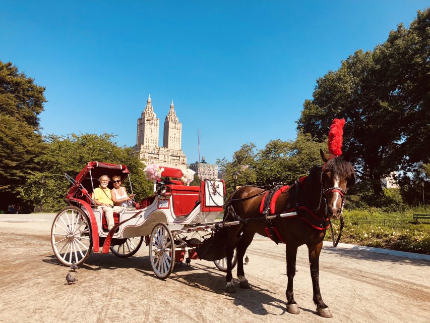 Manhattan: VIP Private Horse Carriage Ride in Central Park - Professional Guide and Photo Stops